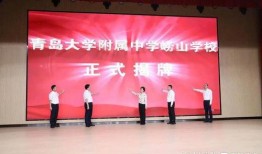 青岛一中最新爆料消息,揭秘校园风云背后的故事